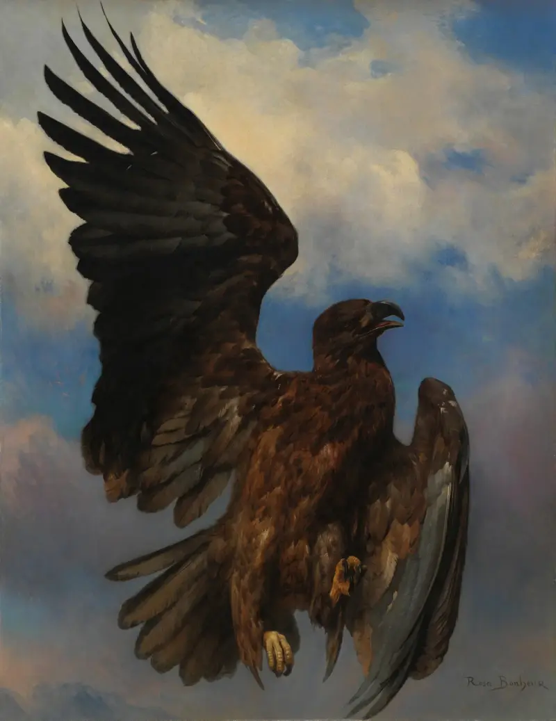 Zraněný orel, Rosa Bonheur