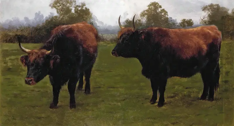 Zwei weidende Stiere von Rosa Bonheur