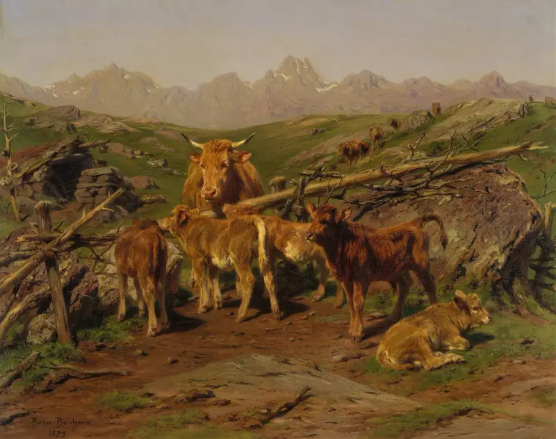Odstavování telat, Rosa Bonheur