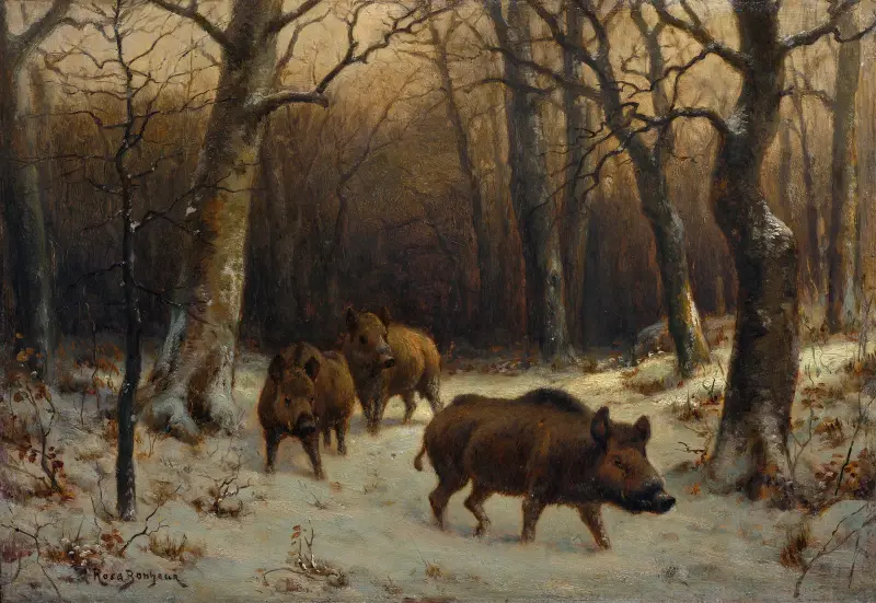 Wild Boars in the Snow av Rosa Bonheur