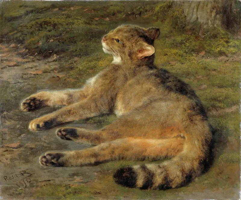Wildkatze von Rosa Bonheur