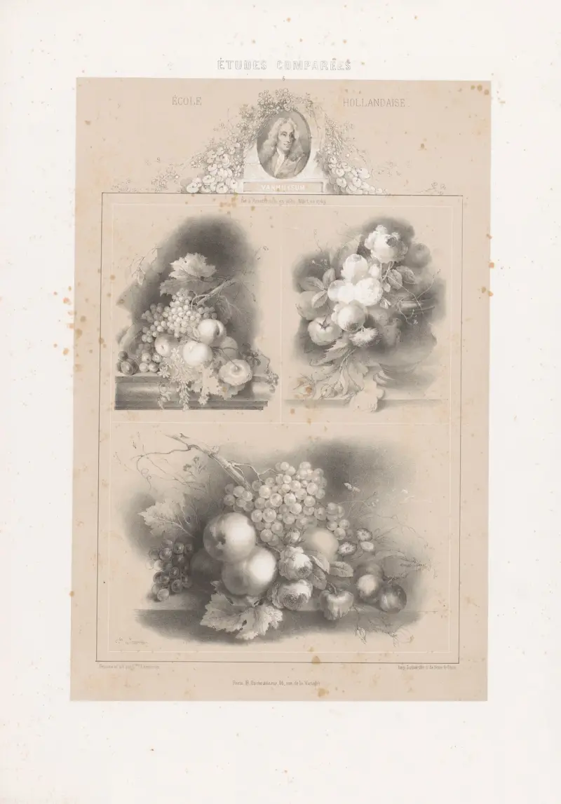 Jan van Huysum – École Hollandaise av Joseph Rose Lemercier