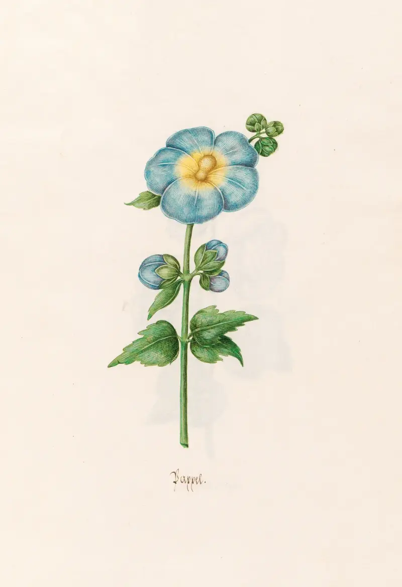 Topol, 1692 – Nr. 2, Magdelena Rosina Funck