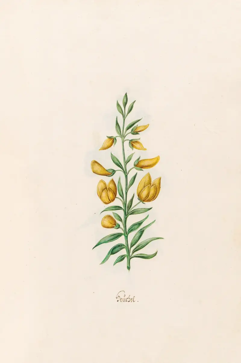 Teüchel von Magdelena Rosina Funck