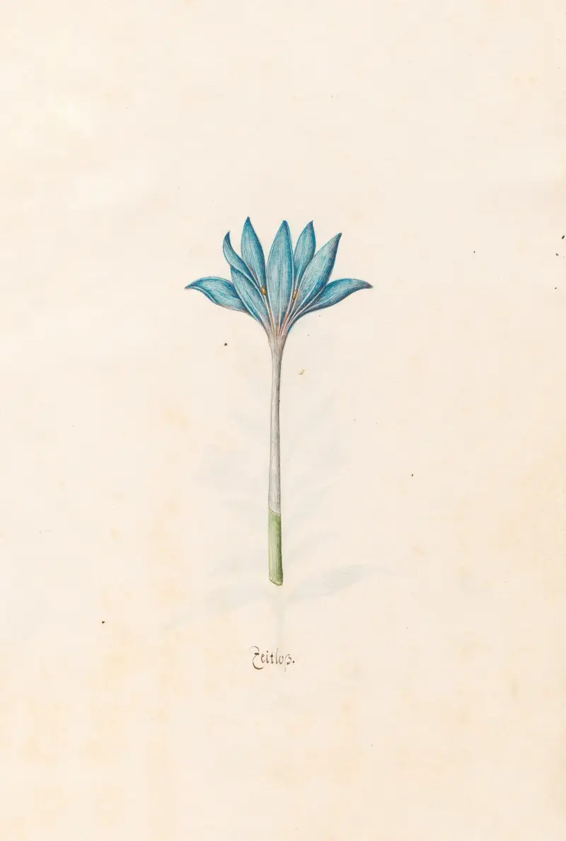 Zeitloss, 1692 – Nr. 1, Magdelena Rosina Funck
