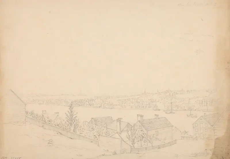 Albany from the hill at Bath av John Rubens Smith