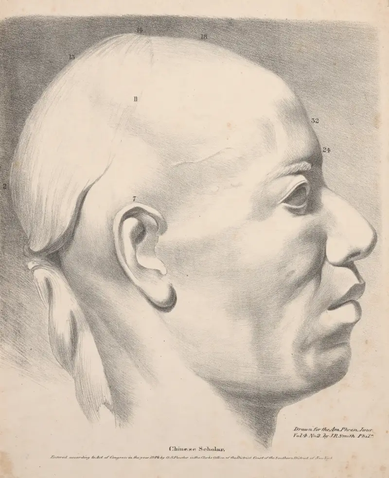 Kinesisk lärd [profil, nr 2] av John Rubens Smith