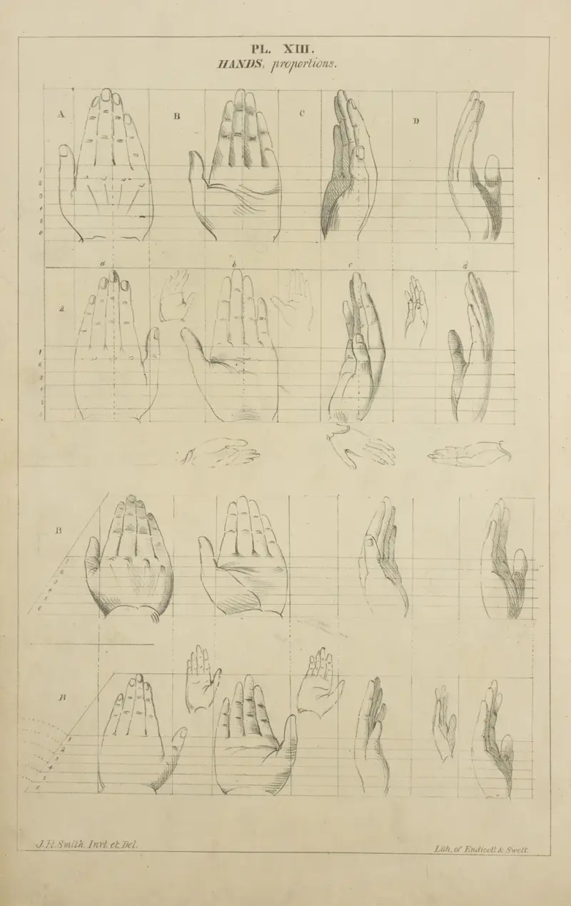 Händer – proportion av John Rubens Smith