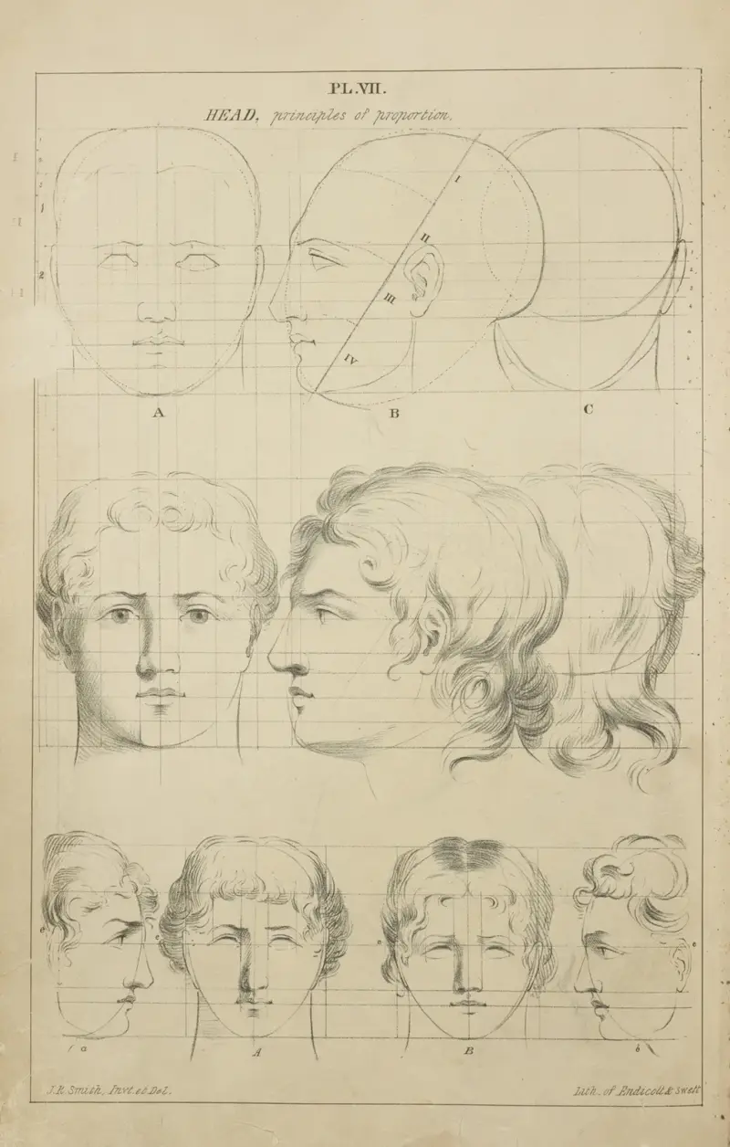 Heads – principles of proportion av John Rubens Smith