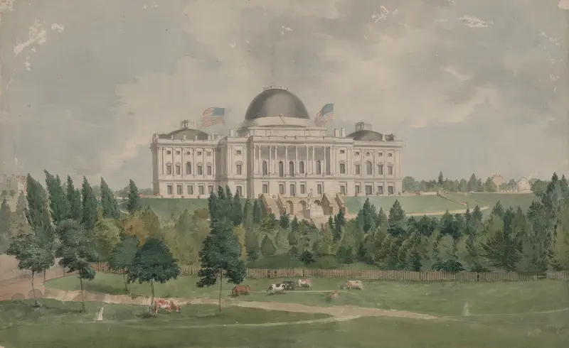 West front of the United States Capitol with cows in the foreground av John Rubens Smith