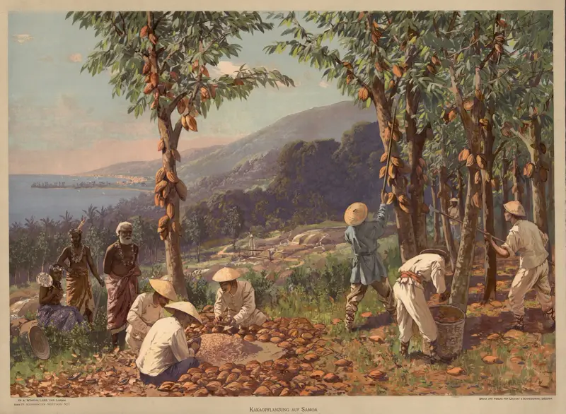 Kolonialbilder, Neue Folge – Kakaopflanzung auf Samoa av Rudolf Hellgrewe