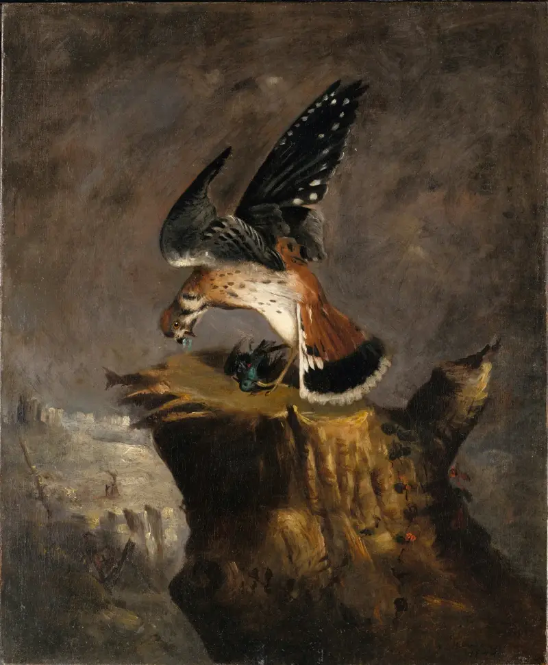 Sęp i jego zdobycz, Robert S. Duncanson