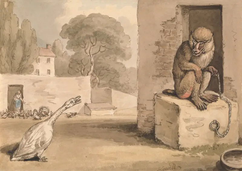 A Goose and a Baboon av Samuel Howitt