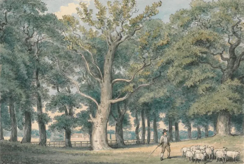 Ett parklandskap med herde och får av Samuel Howitt