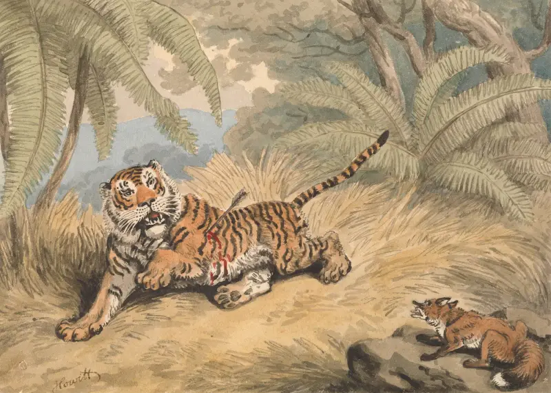 En tiger genomborrad av en pil av Samuel Howitt