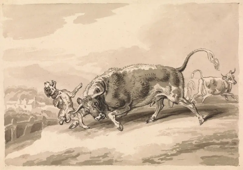 Bull Attacking Mastiff, Samuel Howitt