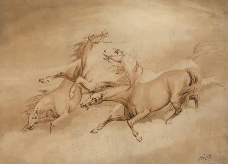 Four Galloping Horses von Samuel Howitt