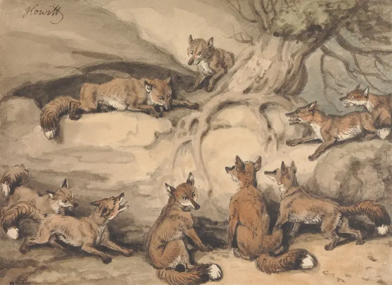 Nio rävar samlade kring ett träd; en illustration av Aesops fabel "Räven som förlorade sin svans" av Samuel Howitt