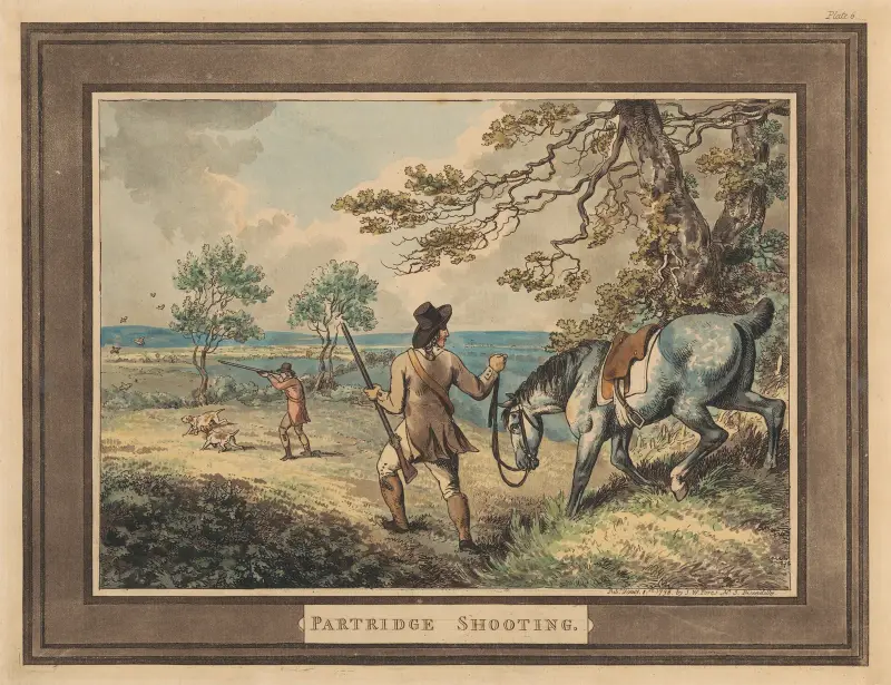 Partridge Shooting von Samuel Howitt