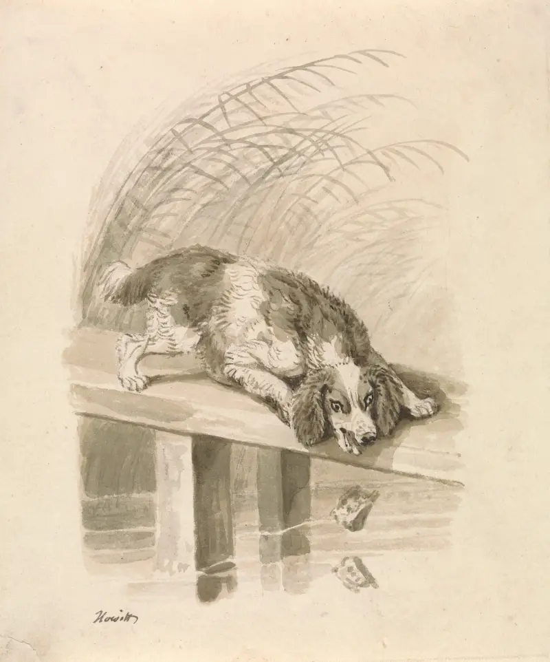 Hunden och skuggan av Samuel Howitt