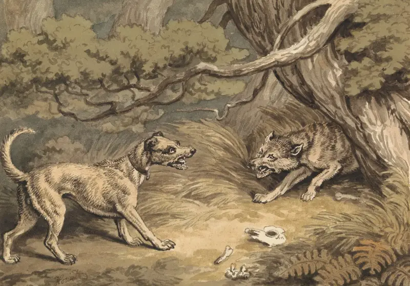 Hunden och vargen av Samuel Howitt