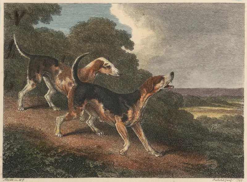 Räv- och hundmotiv av Samuel Howitt