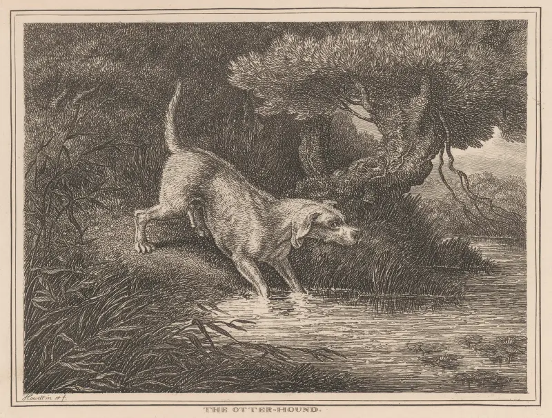 The Otter Hound av Samuel Howitt