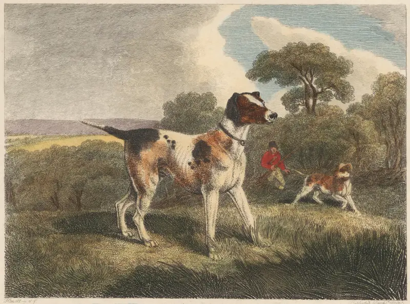The Pointer von Samuel Howitt