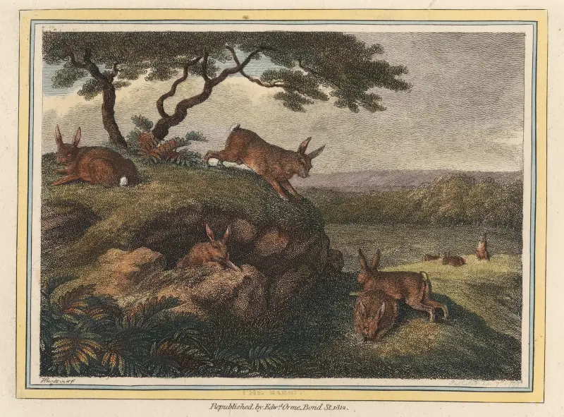 The Rabbit, Samuel Howitt