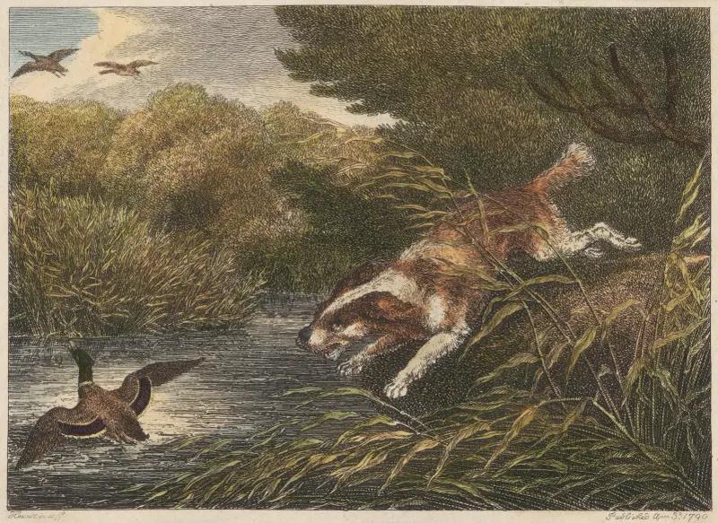 Vattenspanielen av Samuel Howitt