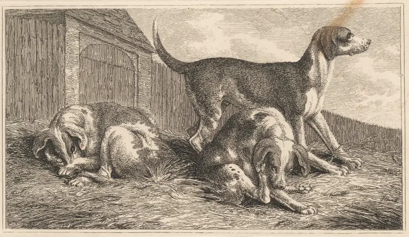 Tre hundar av Samuel Howitt