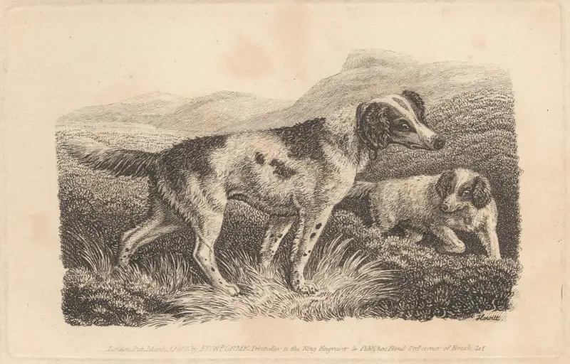 Two Dogs av Samuel Howitt