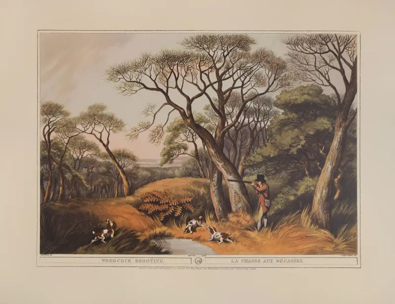Woodcock Shooting av Samuel Howitt