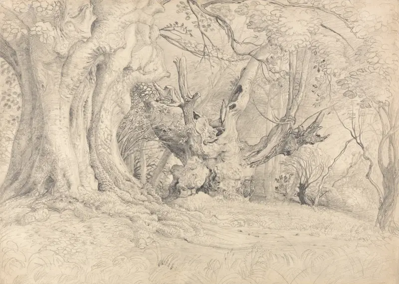 Ancient Trees, Lullingstone Park av Samuel Palmer