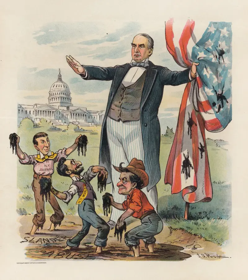 Anything for a scandal av John Samuel Pughe