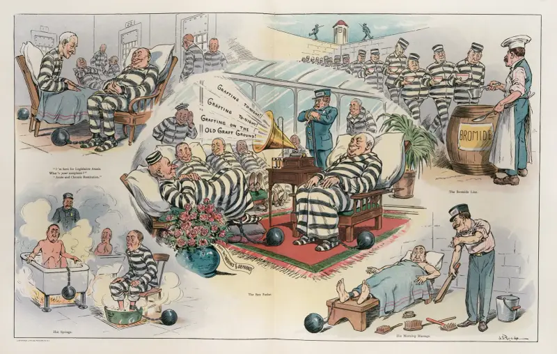 The Sing Sing sanatorium av John Samuel Pughe