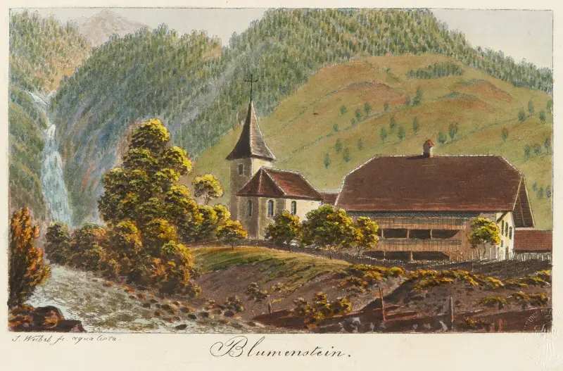 Blumenstein av Jakob Samuel Weibel