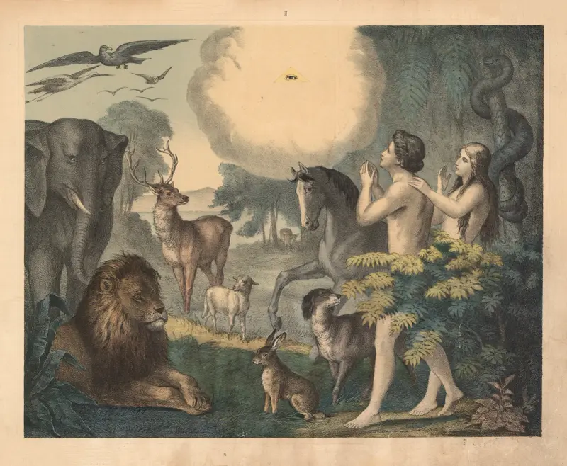 The creation of the world av Sandberg
