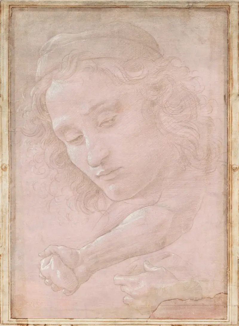 Head of a Youth Wearing a Cap; a Right Forearm with the Hand Clutching a Stone; and a Left Hand Holding a Drapery av Sandro Botticelli