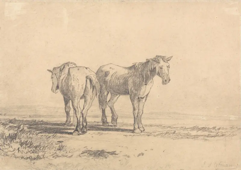 Två gamla hästar på ett fält av John Sell Cotman