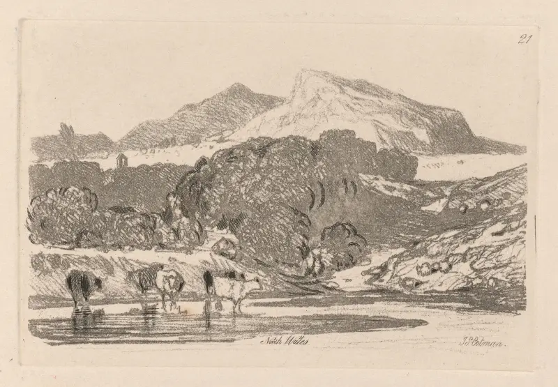 Ansicht in Nordwales von John Sell Cotman
