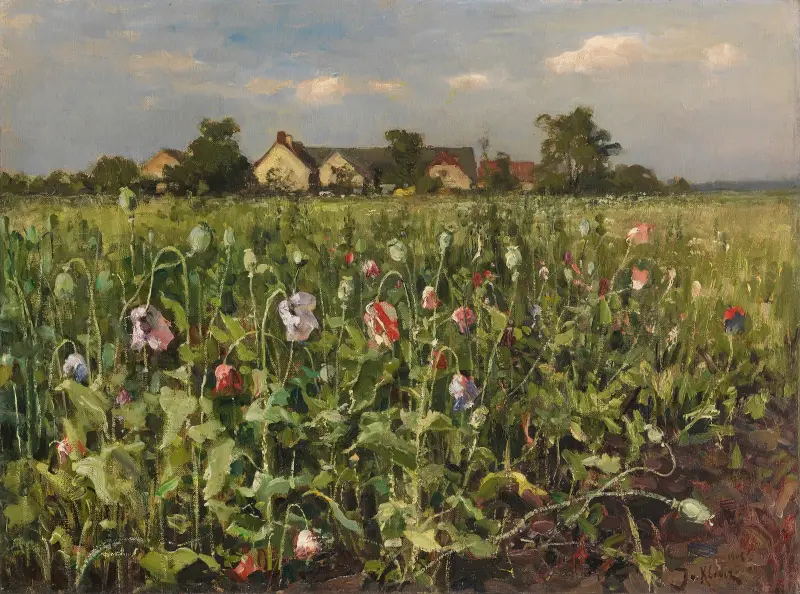 Kvetoucí mák, Julius Sergius Klever