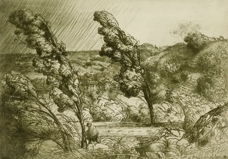 Stormen av Donald Shaw MacLaughlan