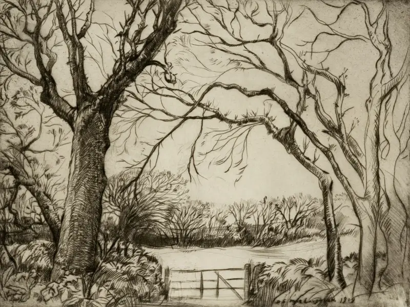 Tragenna Wood av Donald Shaw MacLaughlan