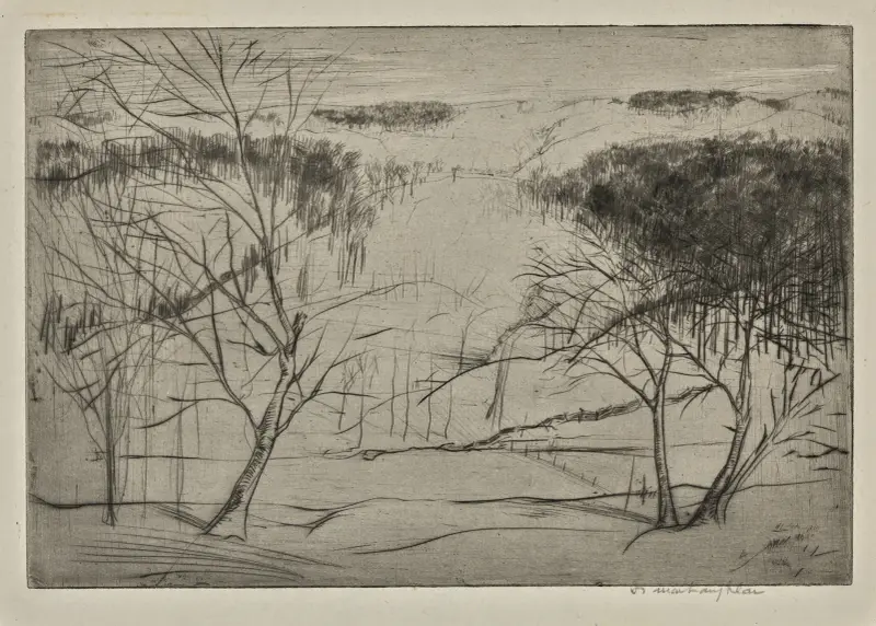 Zima, Donald Shaw MacLaughlan