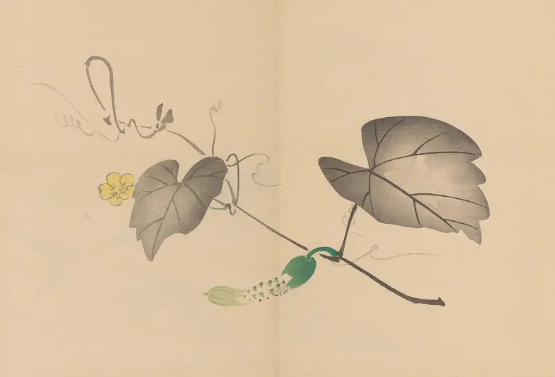 Zeshin iboku tairyūkyo gafu, Pl.04 av Shibata Zeshin