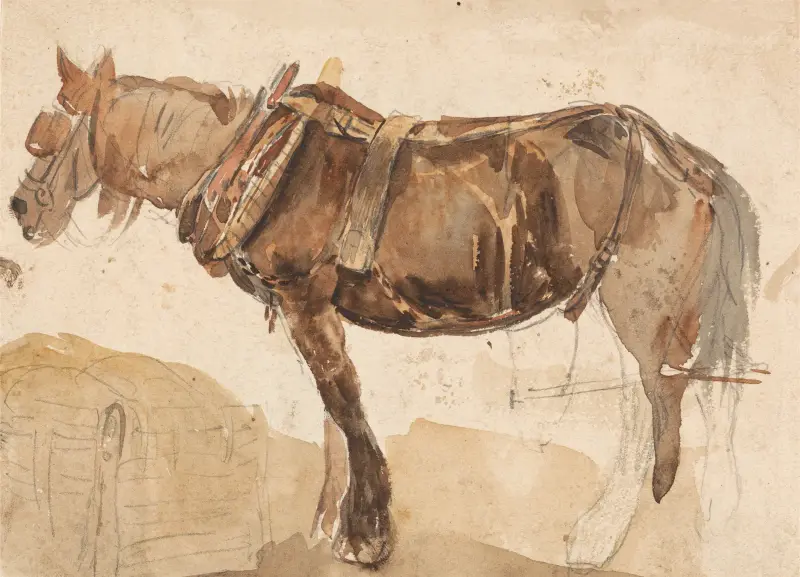 A Horse in Harness Seen From the Near Side, Thomas Sidney Cooper