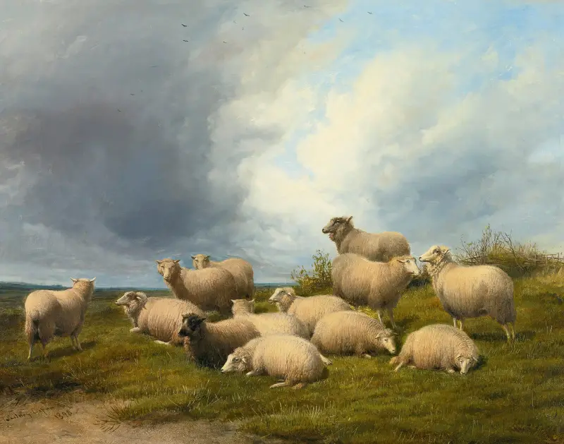 Owce na pastwisku, Thomas Sidney Cooper