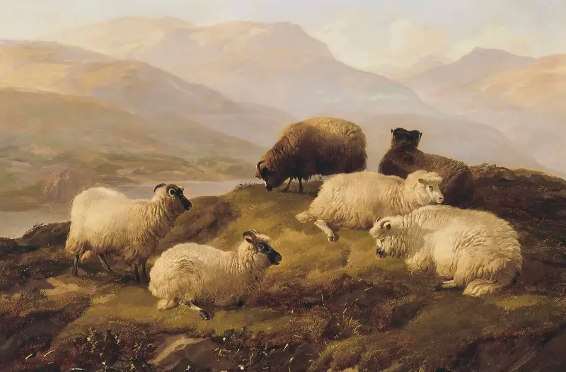 Sheep Resting In A Highland Landscape av Thomas Sidney Cooper
