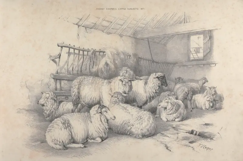 Thomas Sydney Cooper’s cattle subjects Pl.01 av Thomas Sidney Cooper